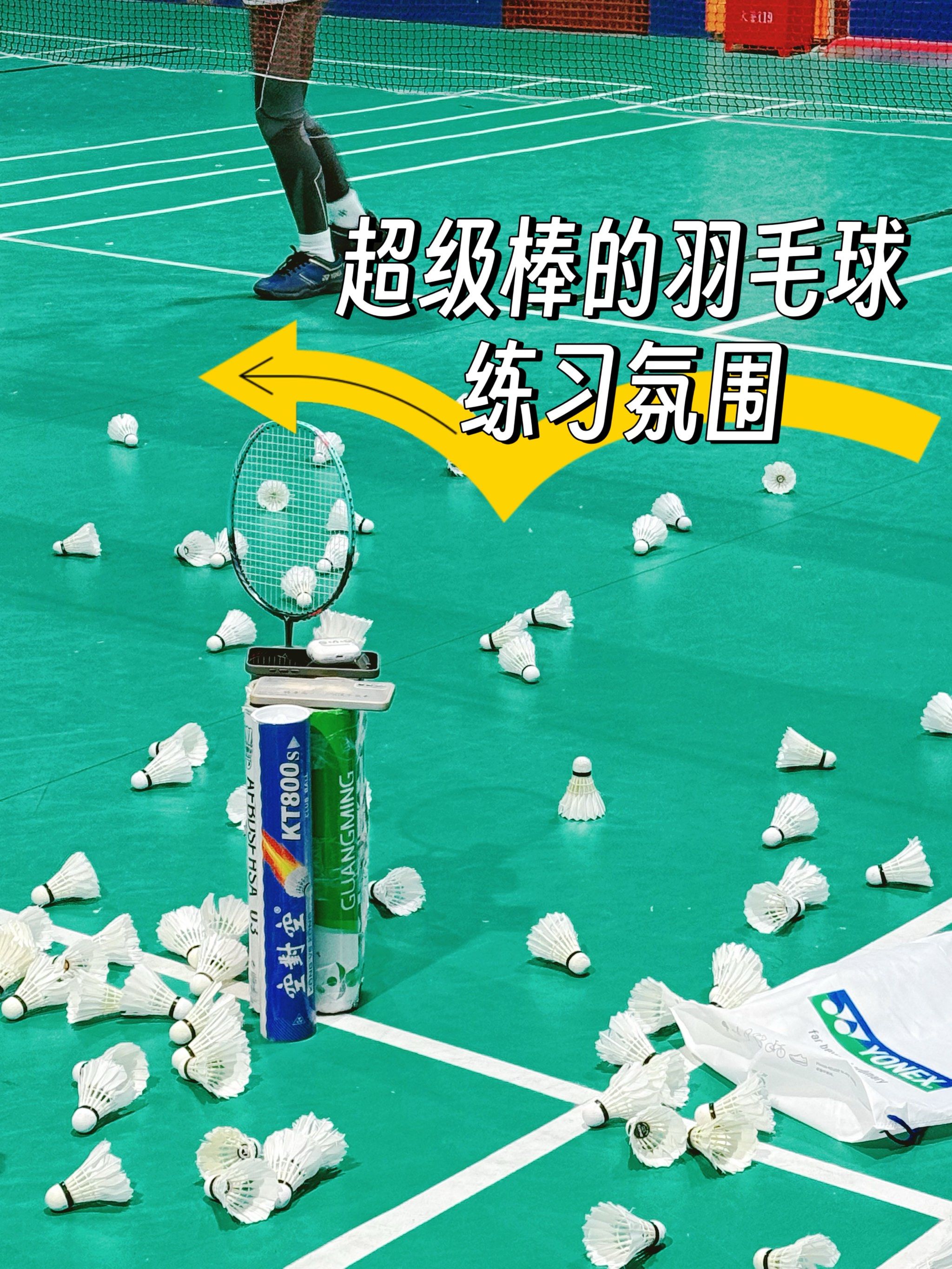 羽毛球队创下新高，粉丝疯狂欢呼